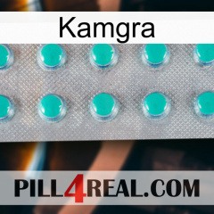 Kamgra 28